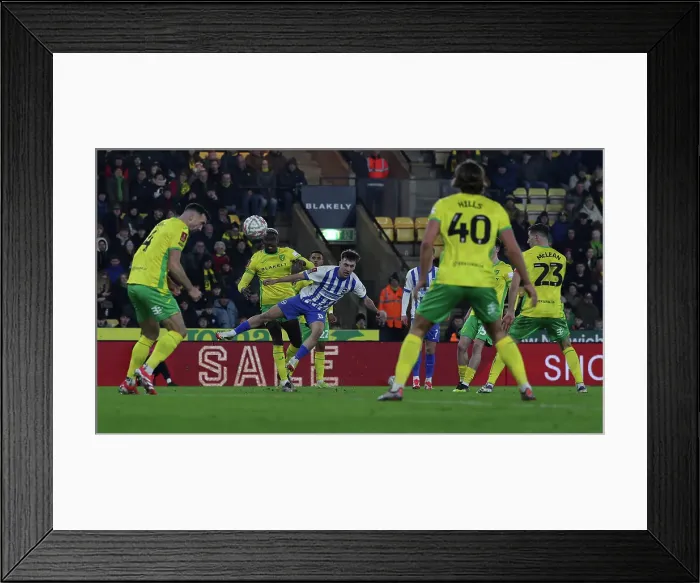 Framed Print : Norwich City v Brighton and Hove Albion Emirates FA Cup 11JAN25