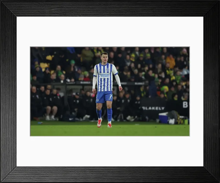Framed Print : Norwich City v Brighton and Hove Albion Emirates FA Cup 11JAN25 Framed Print : Norwich City v Brighton and Hove Albion Emirates FA Cup 11JAN25