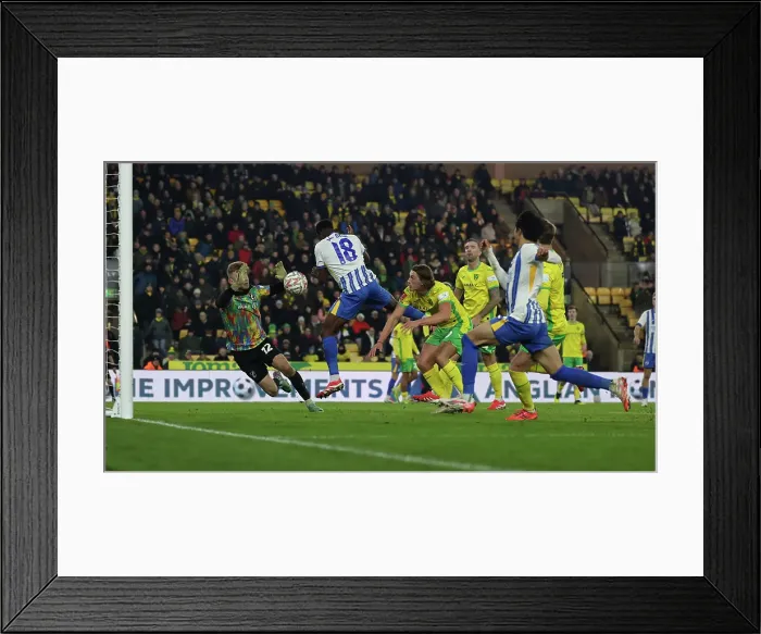 Framed Print : Norwich City v Brighton and Hove Albion Emirates FA Cup 11JAN25 Framed Print : Norwich City v Brighton and Hove Albion Emirates FA Cup 11JAN25