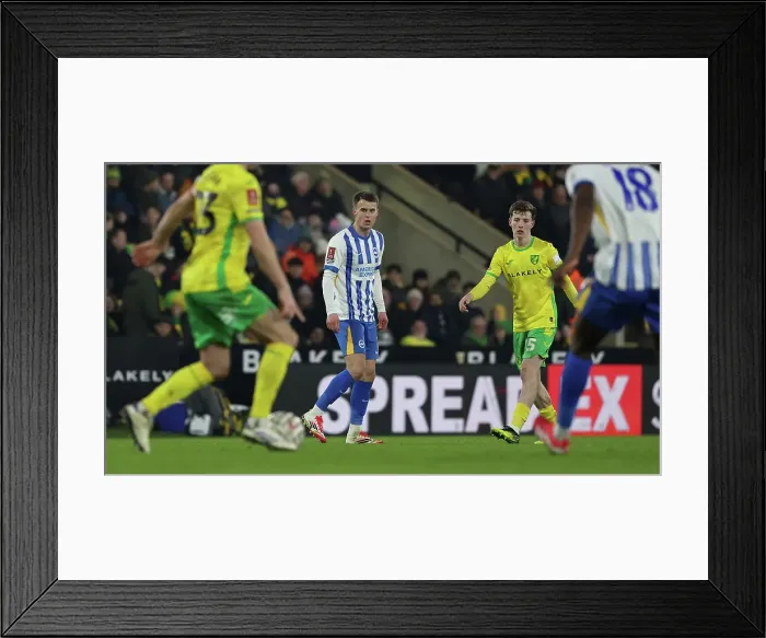 Framed Print : Norwich City v Brighton and Hove Albion Emirates FA Cup 11JAN25 Framed Print : Norwich City v Brighton and Hove Albion Emirates FA Cup 11JAN25