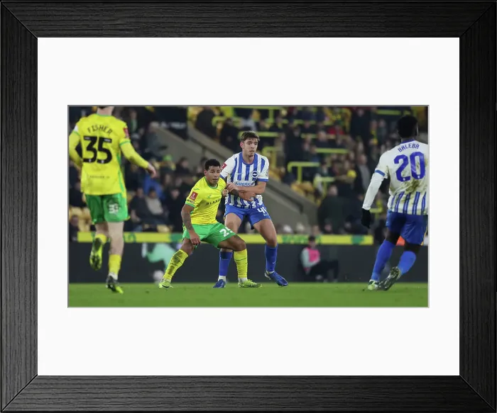 Framed Print : Norwich City v Brighton and Hove Albion Emirates FA Cup 11JAN25 Framed Print : Norwich City v Brighton and Hove Albion Emirates FA Cup 11JAN25