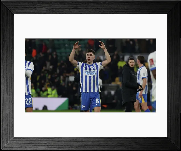Framed Print : Norwich City v Brighton and Hove Albion Emirates FA Cup 11JAN25 Framed Print : Norwich City v Brighton and Hove Albion Emirates FA Cup 11JAN25