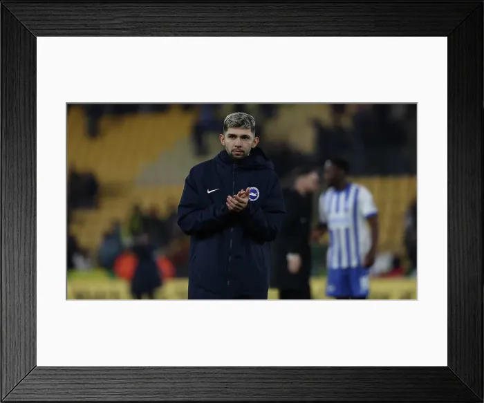Framed Print : Norwich City v Brighton and Hove Albion Emirates FA Cup 11JAN25 Framed Print : Norwich City v Brighton and Hove Albion Emirates FA Cup 11JAN25