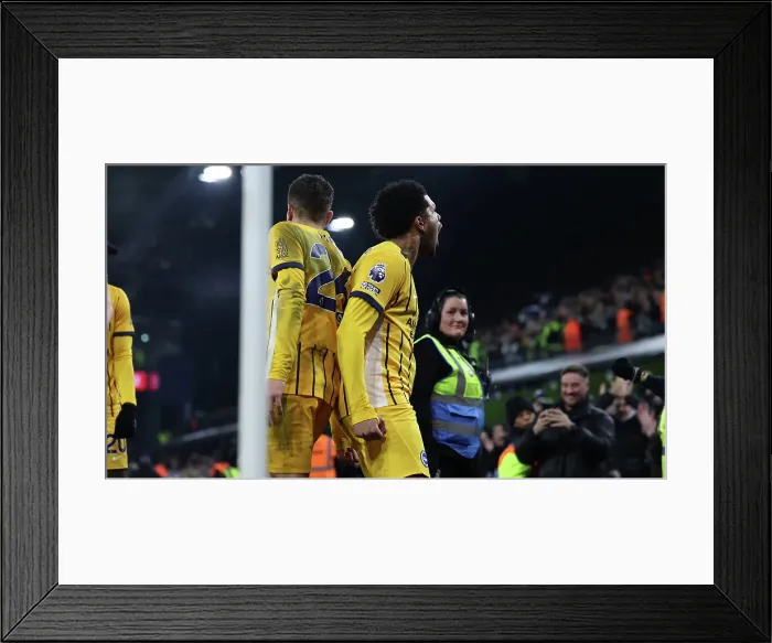 Framed Print : Ipswich Town v Brighton and Hove Albion Premier League 16JAN25 Framed Print : Ipswich Town v Brighton and Hove Albion Premier League 16JAN25
