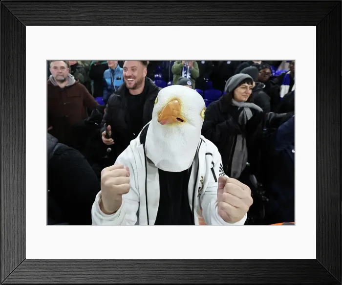 Framed Print : Ipswich Town v Brighton and Hove Albion Premier League 16JAN25 Framed Print : Ipswich Town v Brighton and Hove Albion Premier League 16JAN25