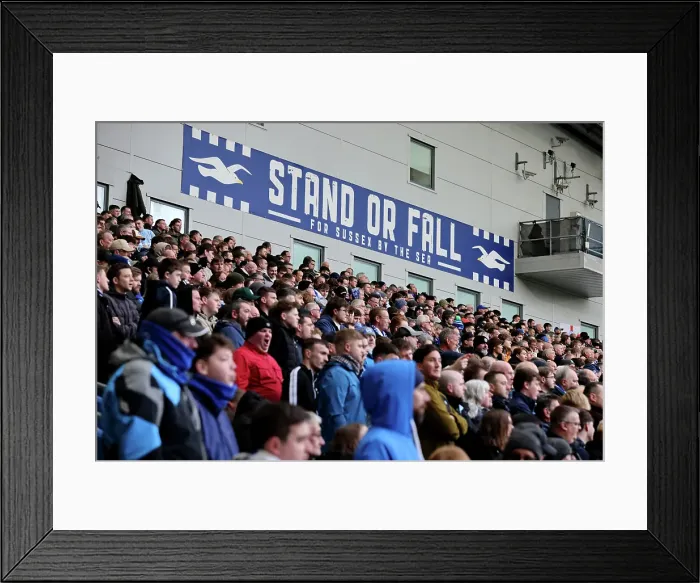 Framed Print : Brighton and Hove Albion v Everton Premier League 25JAN25 Framed Print : Brighton and Hove Albion v Everton Premier League 25JAN25