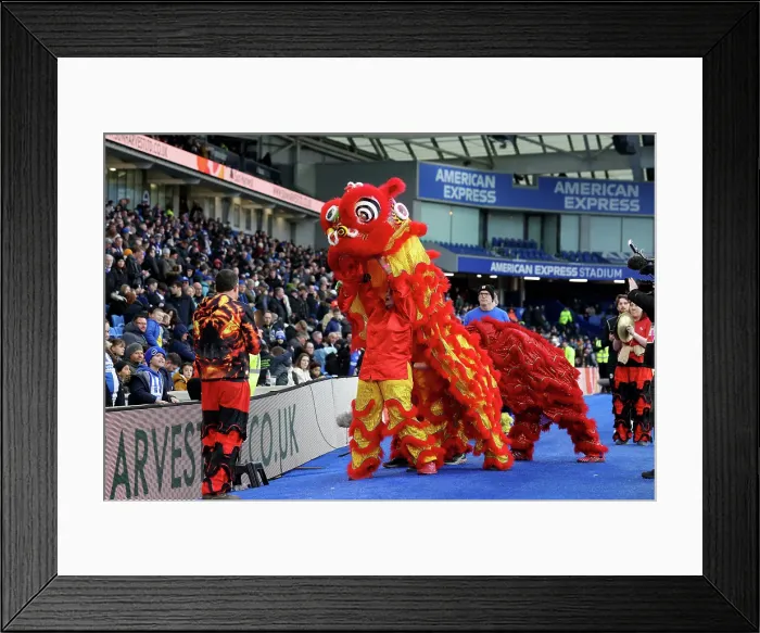 Framed Print : Brighton and Hove Albion v Everton Premier League 25JAN25 Framed Print : Brighton and Hove Albion v Everton Premier League 25JAN25