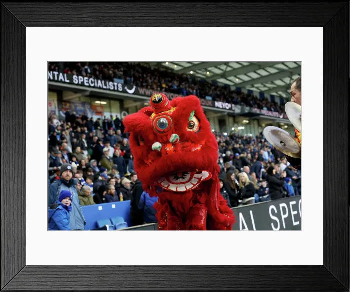 Framed Print : Brighton and Hove Albion v Everton Premier League 25JAN25 Framed Print : Brighton and Hove Albion v Everton Premier League 25JAN25