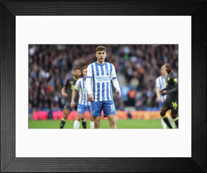 Framed Print : Brighton and Hove Albion v Everton Premier League 25JAN25 Framed Print : Brighton and Hove Albion v Everton Premier League 25JAN25