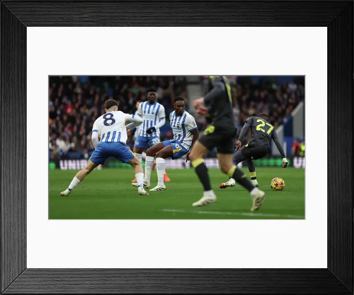 Framed Print : Brighton and Hove Albion v Everton Premier League 25JAN25