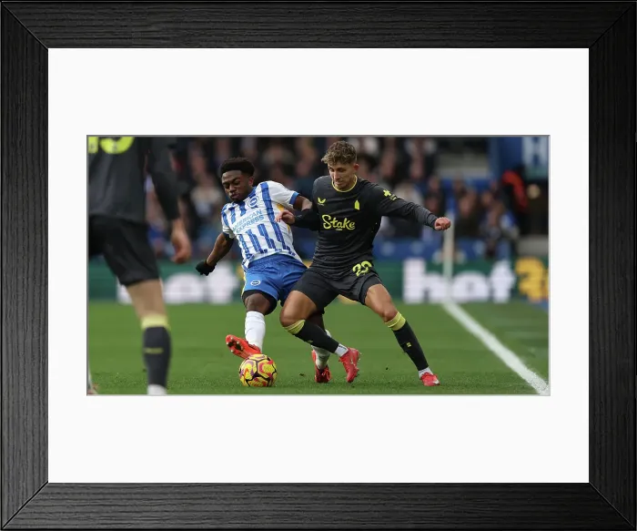 Framed Print : Brighton and Hove Albion v Everton Premier League 25JAN25 Framed Print : Brighton and Hove Albion v Everton Premier League 25JAN25