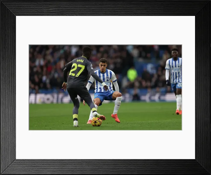 Framed Print : Brighton and Hove Albion v Everton Premier League 25JAN25