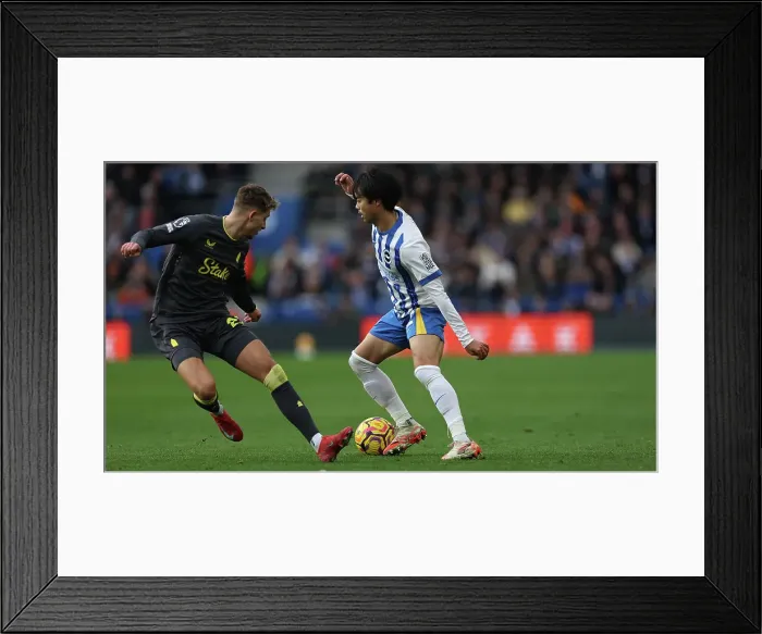 Framed Print : Brighton and Hove Albion v Everton Premier League 25JAN25