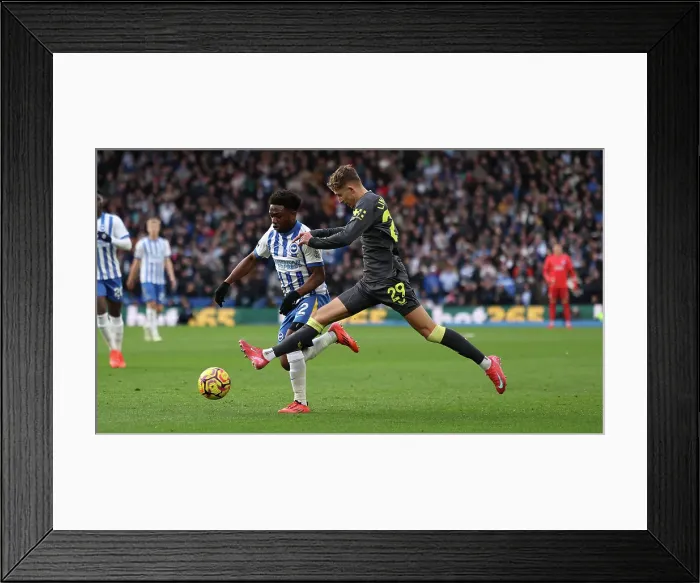 Framed Print : Brighton and Hove Albion v Everton Premier League 25JAN25