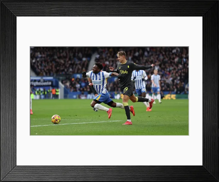 Framed Print : Brighton and Hove Albion v Everton Premier League 25JAN25