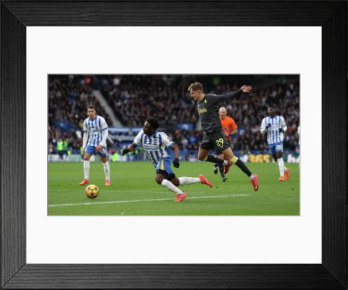 Framed Print : Brighton and Hove Albion v Everton Premier League 25JAN25