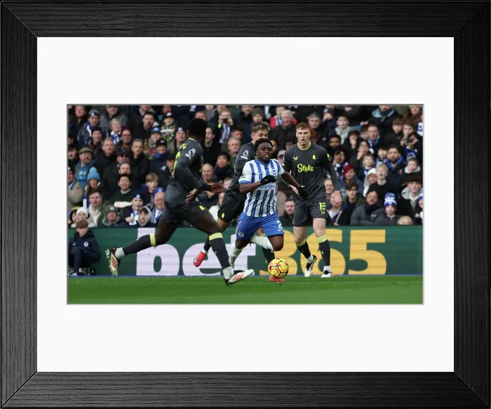 Framed Print : Brighton and Hove Albion v Everton Premier League 25JAN25
