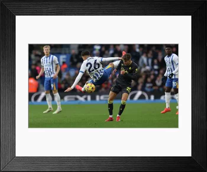 Framed Print : Brighton and Hove Albion v Everton Premier League 25JAN25
