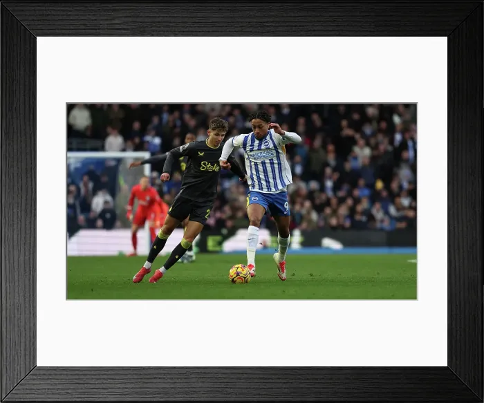 Framed Print : Brighton and Hove Albion v Everton Premier League 25JAN25