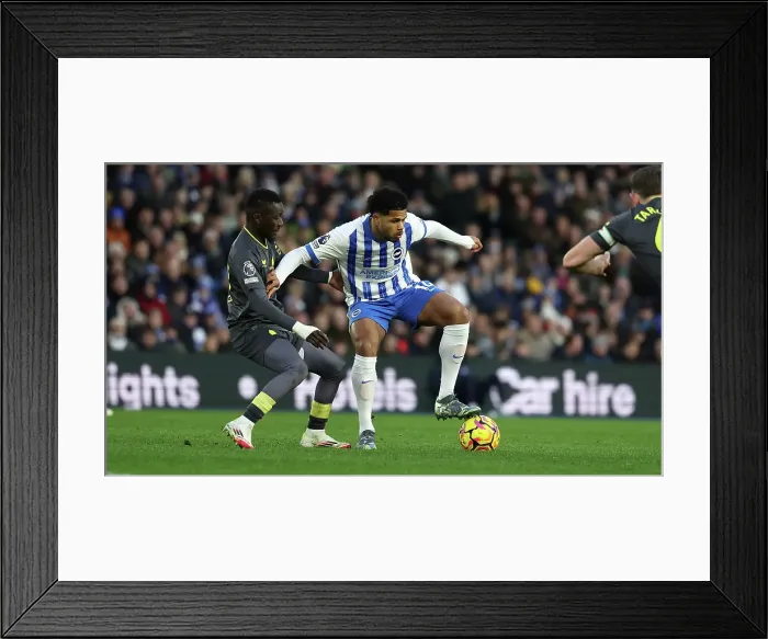 Framed Print : Brighton and Hove Albion v Everton Premier League 25JAN25 Framed Print : Brighton and Hove Albion v Everton Premier League 25JAN25