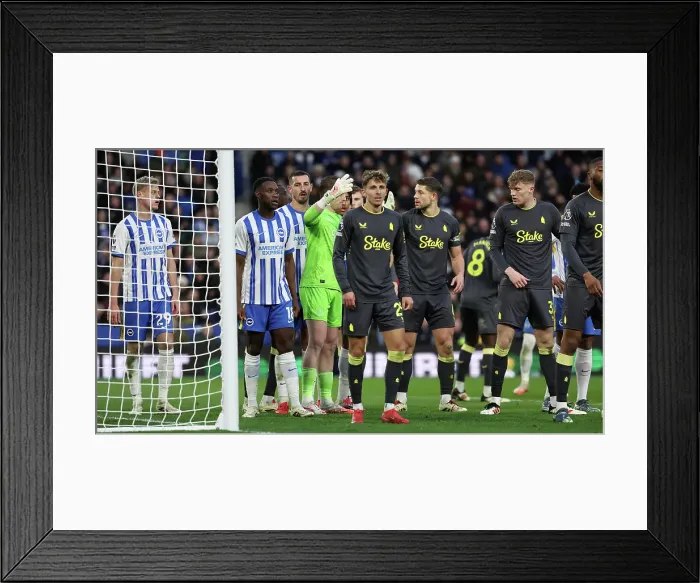 Framed Print : Brighton and Hove Albion v Everton Premier League 25JAN25