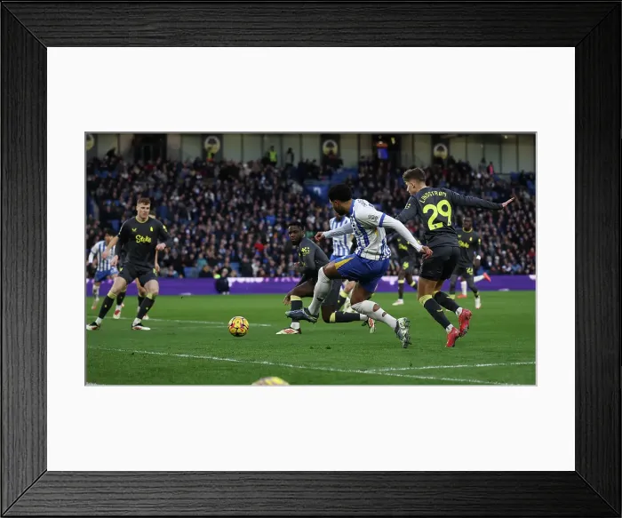 Framed Print : Brighton and Hove Albion v Everton Premier League 25JAN25
