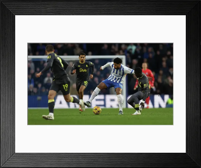 Framed Print : Brighton and Hove Albion v Everton Premier League 25JAN25 Framed Print : Brighton and Hove Albion v Everton Premier League 25JAN25