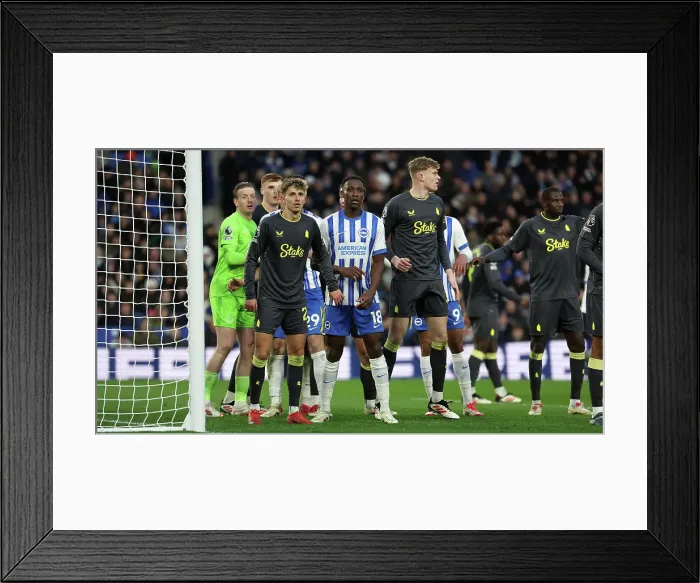 Framed Print : Brighton and Hove Albion v Everton Premier League 25JAN25 Framed Print : Brighton and Hove Albion v Everton Premier League 25JAN25