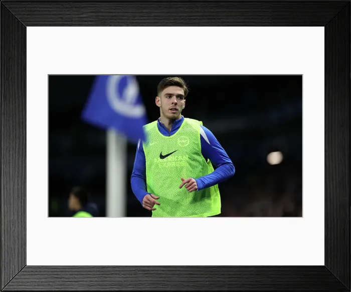 Framed Print : Brighton and Hove Albion v Everton Premier League 25JAN25