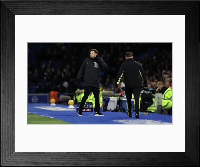 Framed Print : Brighton and Hove Albion v Everton Premier League 25JAN25 Framed Print : Brighton and Hove Albion v Everton Premier League 25JAN25