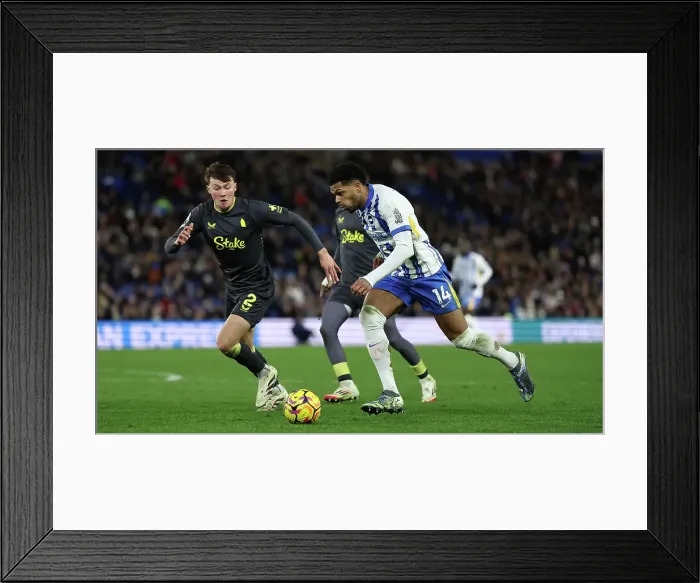 Framed Print : Brighton and Hove Albion v Everton Premier League 25JAN25 Framed Print : Brighton and Hove Albion v Everton Premier League 25JAN25