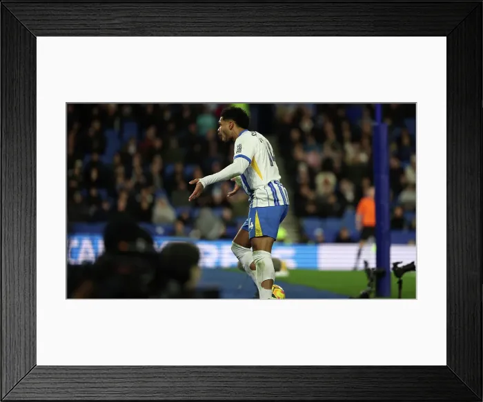 Framed Print : Brighton and Hove Albion v Everton Premier League 25JAN25 Framed Print : Brighton and Hove Albion v Everton Premier League 25JAN25