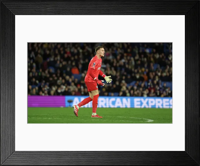 Framed Print : Brighton and Hove Albion v Everton Premier League 25JAN25 Framed Print : Brighton and Hove Albion v Everton Premier League 25JAN25
