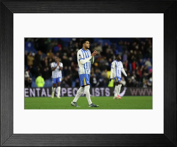 Framed Print : Brighton and Hove Albion v Everton Premier League 25JAN25 Framed Print : Brighton and Hove Albion v Everton Premier League 25JAN25