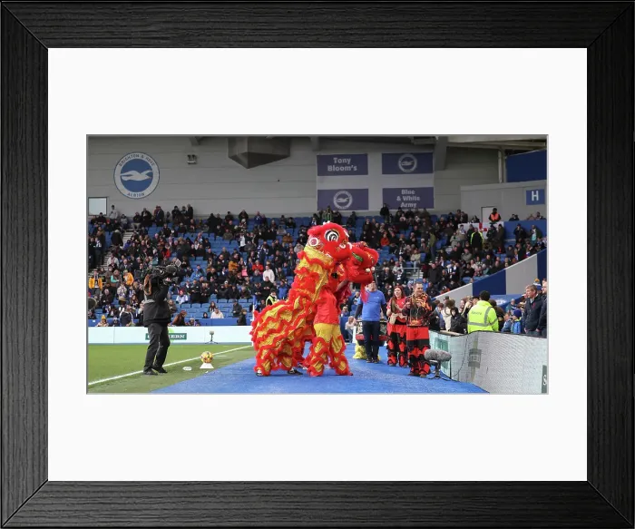 Framed Print : Brighton and Hove Albion v Everton Premier League 25JAN25 Framed Print : Brighton and Hove Albion v Everton Premier League 25JAN25