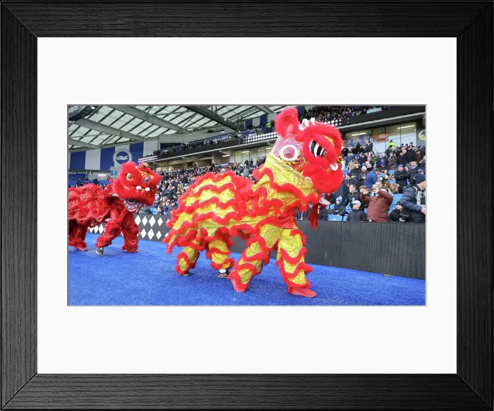 Framed Print : Brighton and Hove Albion v Everton Premier League 25JAN25 Framed Print : Brighton and Hove Albion v Everton Premier League 25JAN25