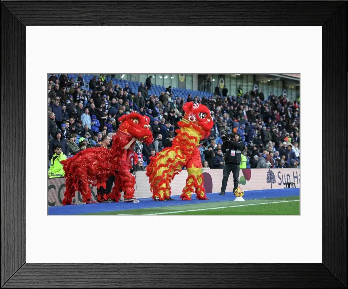 Framed Print : Brighton and Hove Albion v Everton Premier League 25JAN25 Framed Print : Brighton and Hove Albion v Everton Premier League 25JAN25