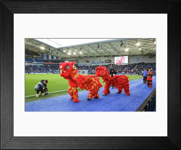 Framed Print : Brighton and Hove Albion v Everton Premier League 25JAN25 Framed Print : Brighton and Hove Albion v Everton Premier League 25JAN25