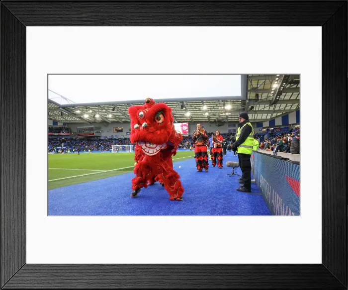 Framed Print : Brighton and Hove Albion v Everton Premier League 25JAN25 Framed Print : Brighton and Hove Albion v Everton Premier League 25JAN25