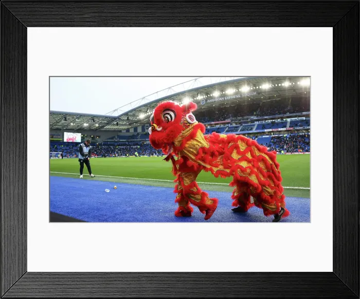 Framed Print : Brighton and Hove Albion v Everton Premier League 25JAN25 Framed Print : Brighton and Hove Albion v Everton Premier League 25JAN25
