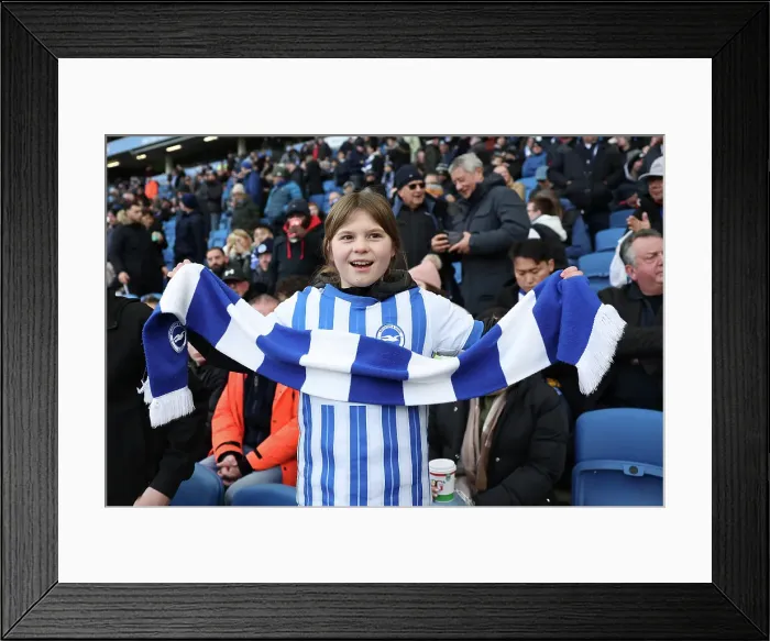 Framed Print : Brighton and Hove Albion v Everton Premier League 25JAN25