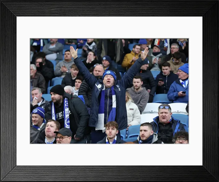 Framed Print : Brighton and Hove Albion v Everton Premier League 25JAN25