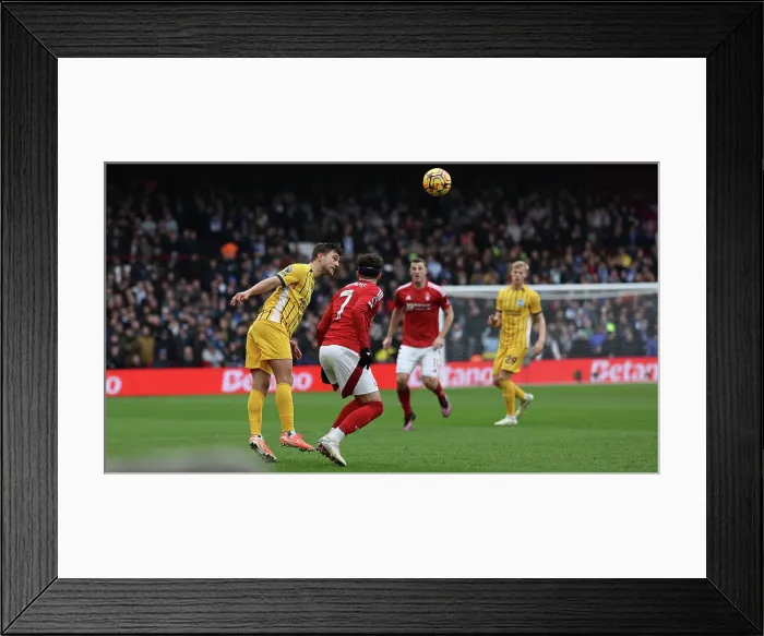 Framed Print : Nottingham Forest v Brighton and Hove Albion Premier League 01FEB25 Framed Print : Nottingham Forest v Brighton and Hove Albion Premier League 01FEB25