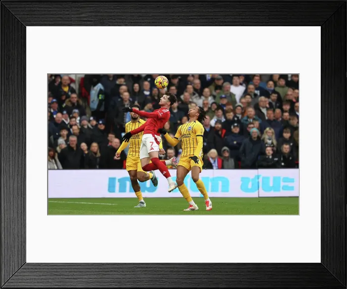Framed Print : Nottingham Forest v Brighton and Hove Albion Premier League 01FEB25 Framed Print : Nottingham Forest v Brighton and Hove Albion Premier League 01FEB25