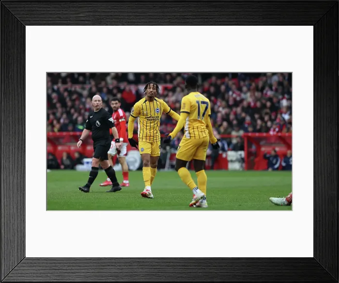 Framed Print : Nottingham Forest v Brighton and Hove Albion Premier League 01FEB25 Framed Print : Nottingham Forest v Brighton and Hove Albion Premier League 01FEB25