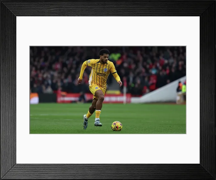 Framed Print : Nottingham Forest v Brighton and Hove Albion Premier League 01FEB25 Framed Print : Nottingham Forest v Brighton and Hove Albion Premier League 01FEB25