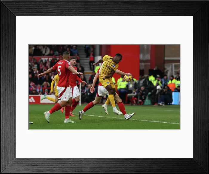 Framed Print : Nottingham Forest v Brighton and Hove Albion Premier League 01FEB25 Framed Print : Nottingham Forest v Brighton and Hove Albion Premier League 01FEB25