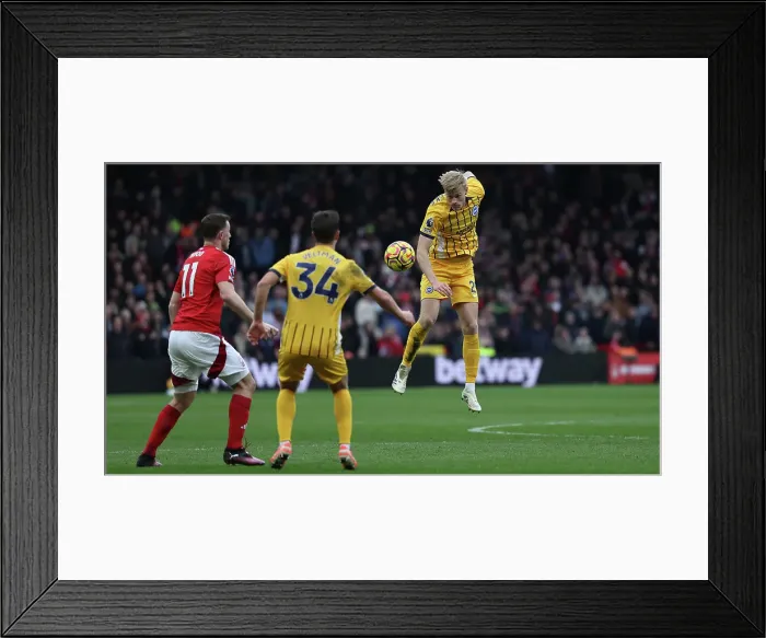 Framed Print : Nottingham Forest v Brighton and Hove Albion Premier League 01FEB25 Framed Print : Nottingham Forest v Brighton and Hove Albion Premier League 01FEB25