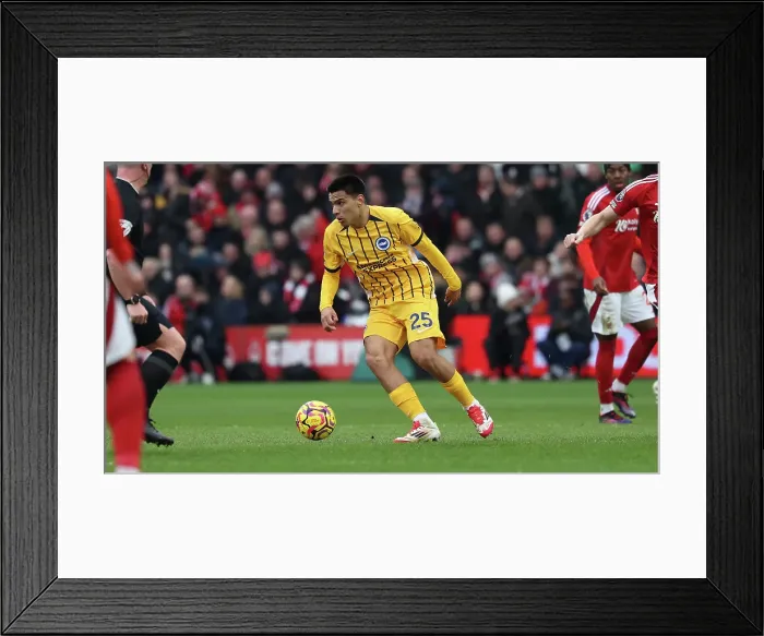 Framed Print : Nottingham Forest v Brighton and Hove Albion Premier League 01FEB25