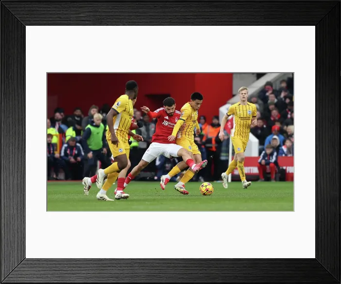 Framed Print : Nottingham Forest v Brighton and Hove Albion Premier League 01FEB25
